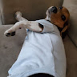 Meet your Posher, Still stepheno